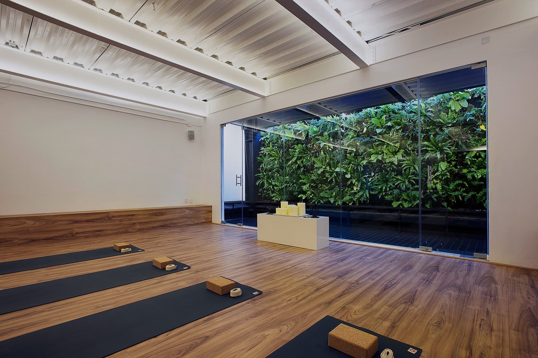 Sala de yoga con luz natural y plantas